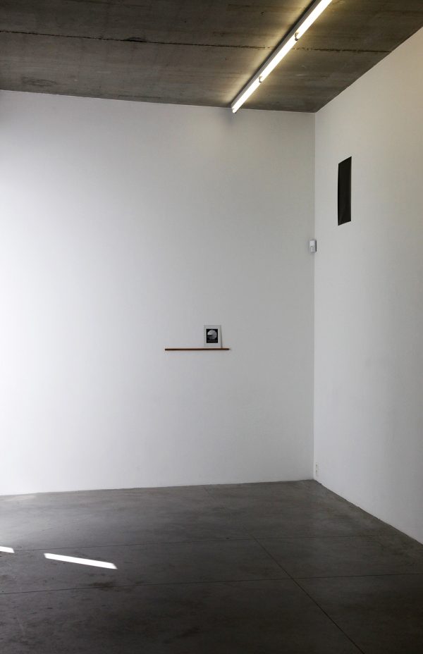 SPEKTRUM_Hopst02_1600px